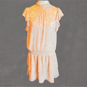 Express Size LARGE Pale Blush Flutter Sleeve Drop Waist Sheer Layered Mini Dress